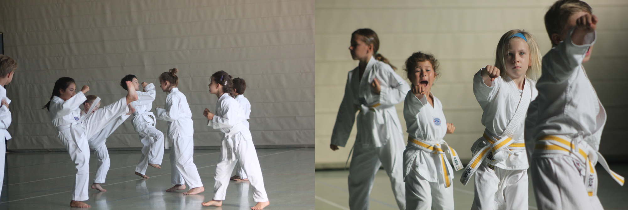 Klassisches Taekwondo Olching 0179-7693386